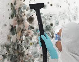 Forensic Mold Investigation in Waltham, MA